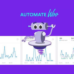 AutomateWoo – Marketing Automation for WooCommerce - Dghut