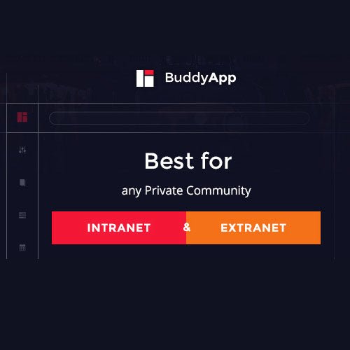 BuddyApp – Mobile First Community WordPress Theme - Dghut