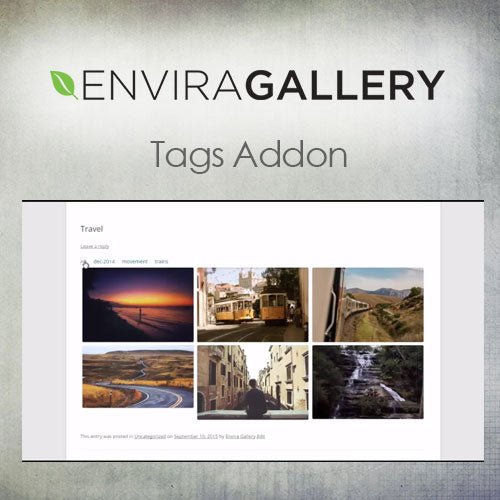 Envira Gallery – Tags Addon - Dghut