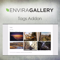 Envira Gallery – Tags Addon - Dghut