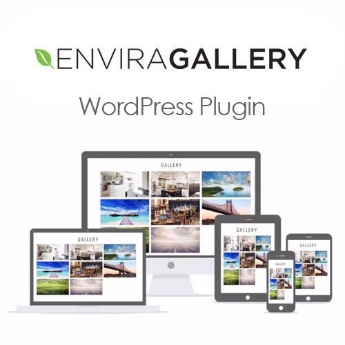 Envira Gallery WordPress Plugin - Dghut