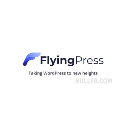FlyingPress – Taking WordPress to new heights - Dghut