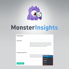 MonsterInsights – Performance Addon - Dghut