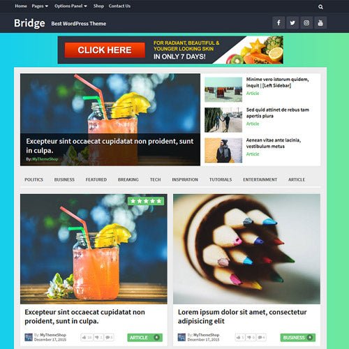 MyThemeShop Bridge WordPress Theme - Dghut