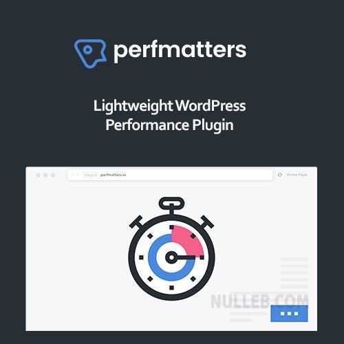 Perfmatters – Accelerator WordPress - Dghut