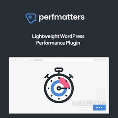 Perfmatters – Accelerator WordPress - Dghut