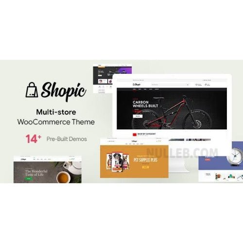 Shopic – Multistore WooCommerce WordPress Theme - Dghut