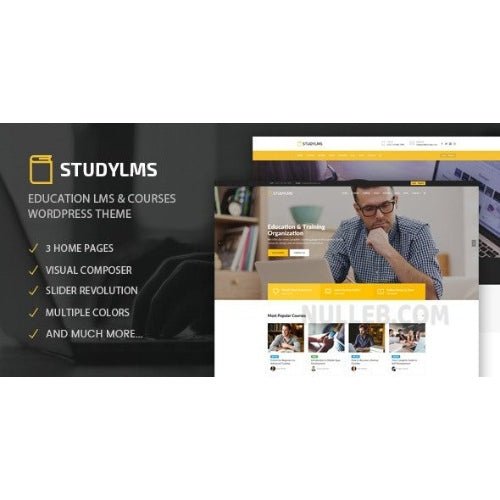 Studylms – Education LMS & Courses WordPress Theme - Dghut