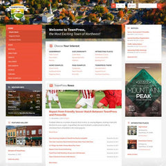 TownPress – Municipality & Town Government WordPress Theme - Dghut
