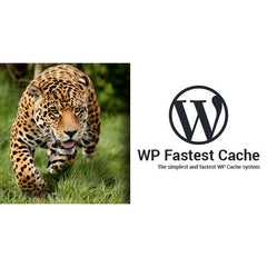 WP Fastest Cache WordPress Plugin – Premium - Dghut