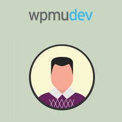 WPMU DEV Admin Panel Tips - Dghut