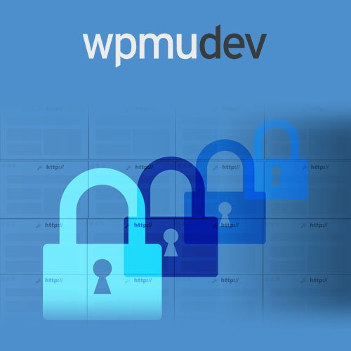 WPMU DEV Multisite Privacy - Dghut