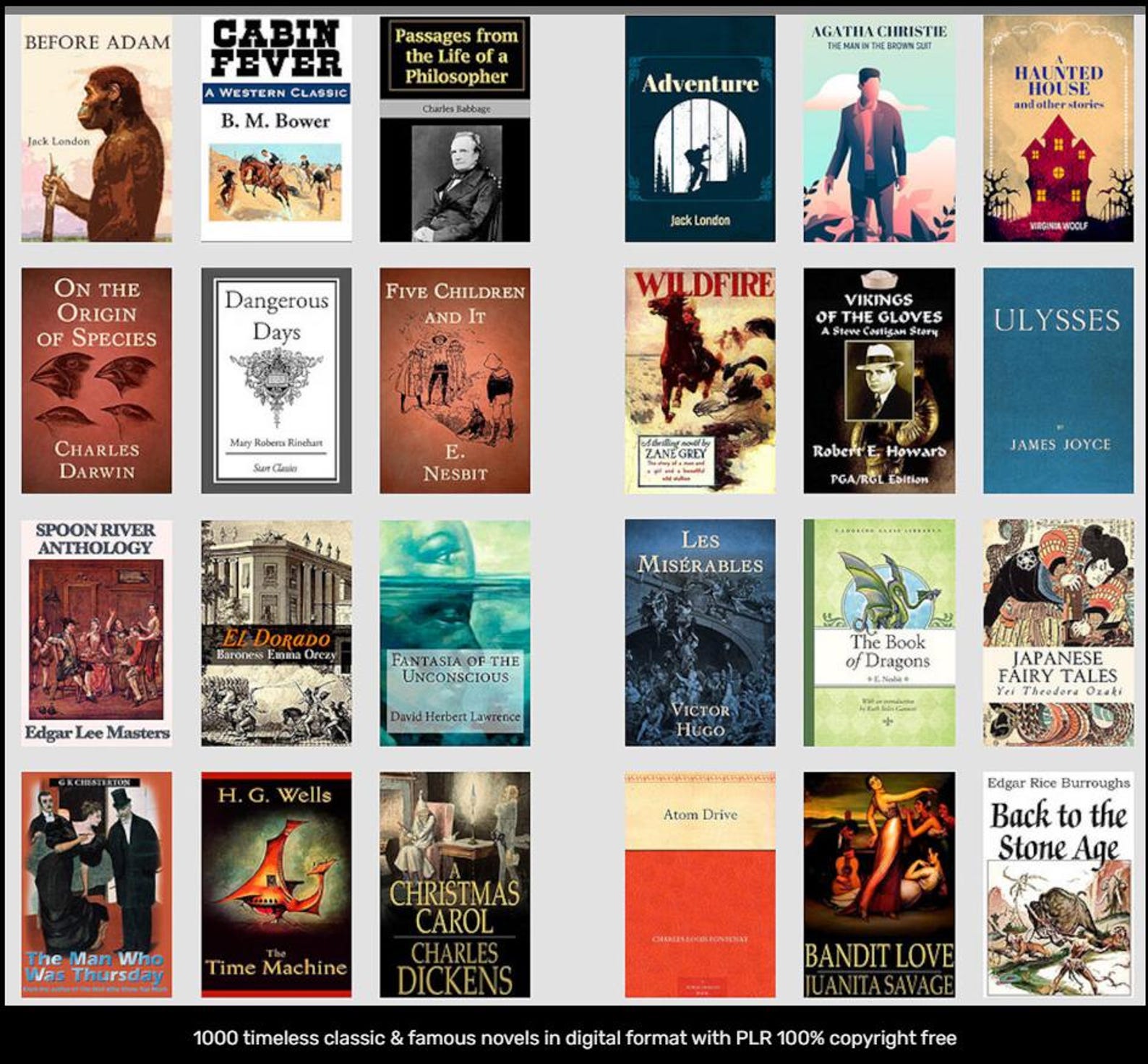 1000 timeless classic & famous novels in digital format with PLR 100% copyright free - Dghut