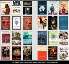 1000 timeless classic & famous novels in digital format with PLR 100% copyright free - Dghut