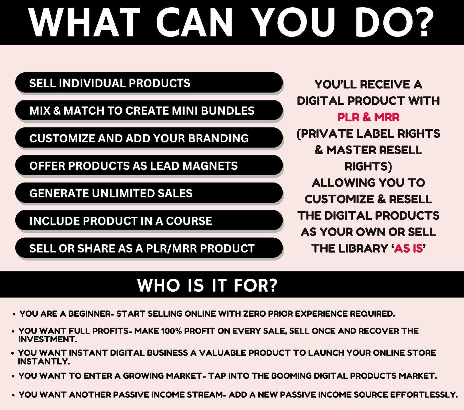 20,000+ Done For You Digital Products Bundle Ideal for Passive Income PLR MRR Master Resell Rights Digital Products - Dghut