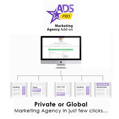 Ads Pro Add - on – WordPress Marketing Agency - Dghut