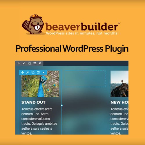 Beaver Builder Professional WordPress Plugin - Dghut