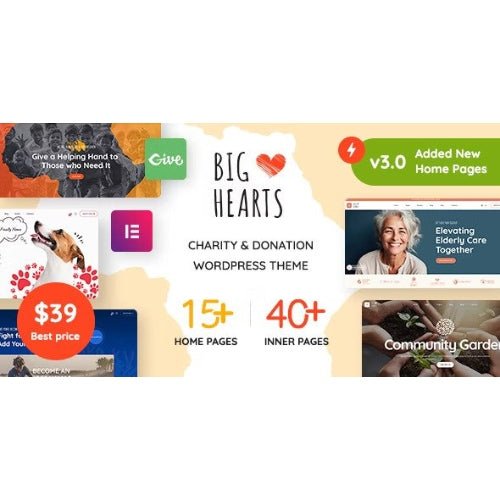BigHearts – Charity & Donation WordPress Theme - Dghut