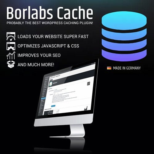 Borlabs Cache – WordPress Caching Plugin - Dghut