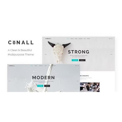 Conall – Clean Multipurpose Theme - Dghut