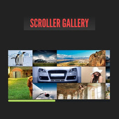 DZS Scroller Gallery - Dghut