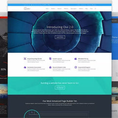Elegant Themes Divi WordPress Theme + Layouts - Dghut