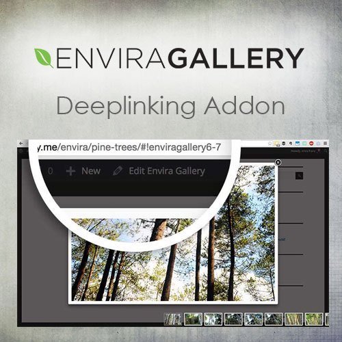 Envira Gallery – Deeplinking Addon - Dghut