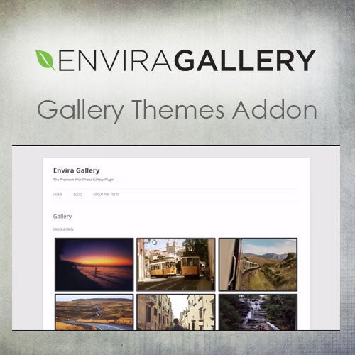 Envira Gallery – Gallery Themes Addon - Dghut