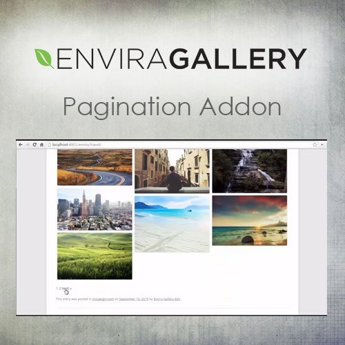 Envira Gallery – Pagination Addon - Dghut