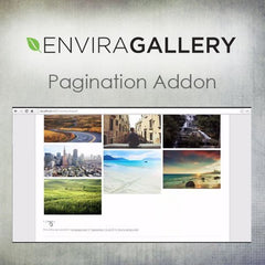 Envira Gallery – Pagination Addon - Dghut