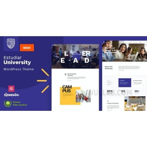 Estudiar – University & School WordPress Theme - Dghut