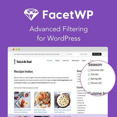 FacetWP – Advanced Filtering for WordPress - Dghut