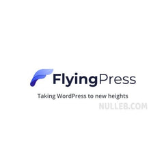FlyingPress – Taking WordPress to new heights - Dghut