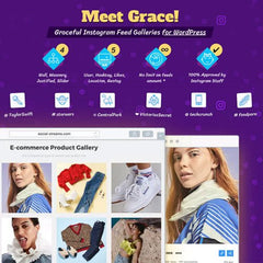 Instagram Feed Gallery — Grace for WordPress - Dghut