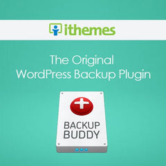 IThemes BackupBuddy WordPress Plugin - Dghut