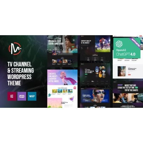 MediaFlex – TV Channel & Streaming WordPress Theme - Dghut