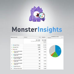 MonsterInsights – AMP Addon - Dghut
