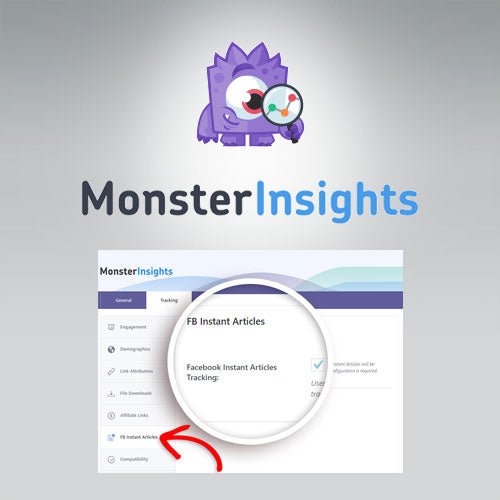 MonsterInsights – Facebook Instant Articles Addon - Dghut