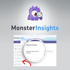 MonsterInsights – Facebook Instant Articles Addon - Dghut