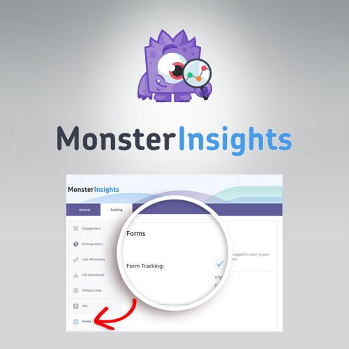 MonsterInsights – Forms Tracking Addon - Dghut