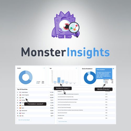 MonsterInsights Pro Google Analytics Premium - Dghut