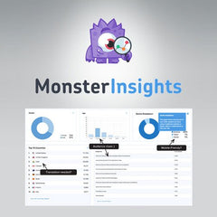 MonsterInsights Pro Google Analytics Premium - Dghut
