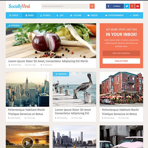 MyThemeShop SociallyViral WordPress Theme - Dghut