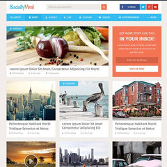 MyThemeShop SociallyViral WordPress Theme - Dghut