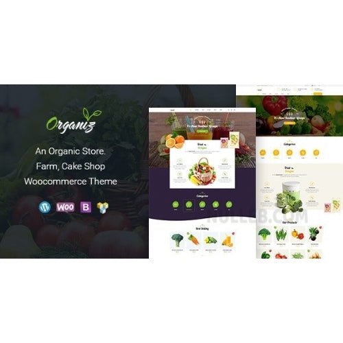 Organiz – An Organic Store WooCommerce Theme - Dghut