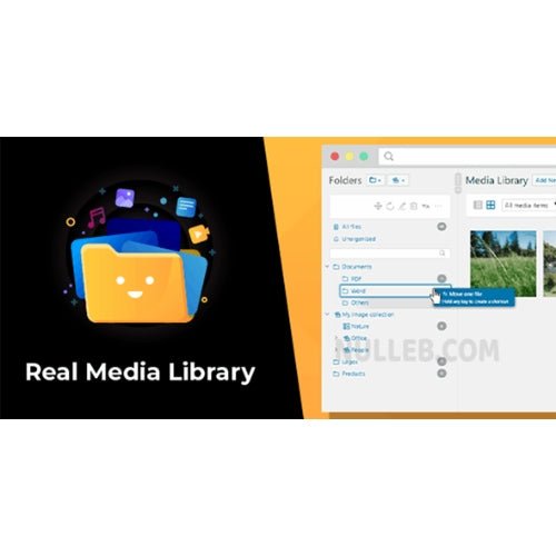 Real Media Library: Media Library Folder & File Manager for Media Management in WordPress - Dghut