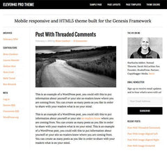 StudioPress eleven40 Pro Genesis WordPress Theme - Dghut