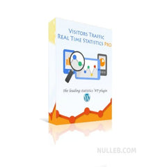 Visitor Traffic Real Time Statistics Pro - Dghut