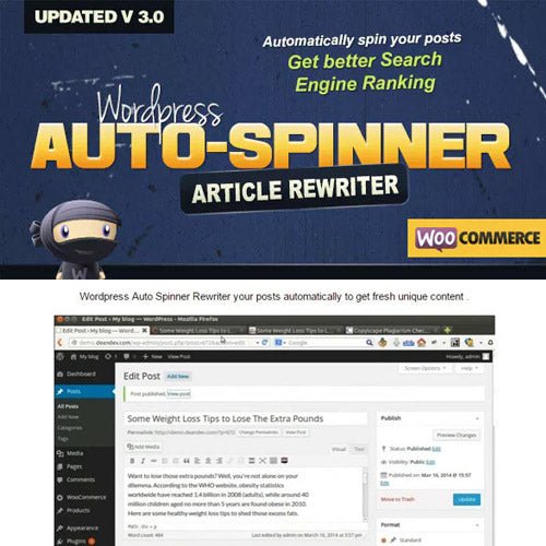 WordPress Auto Spinner – Articles Rewriter - Dghut