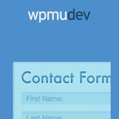 WPMU DEV Contact Widget - Dghut
